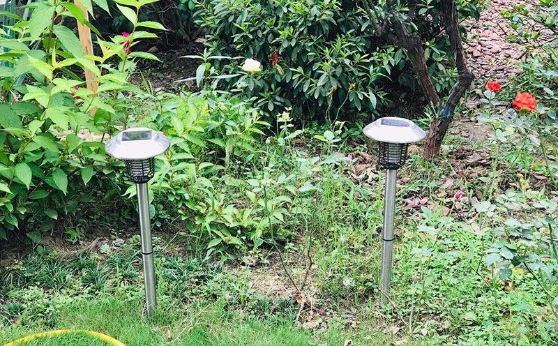 【用戶分享】花園里放了兩臺LED庭院滅蚊燈效果還不錯